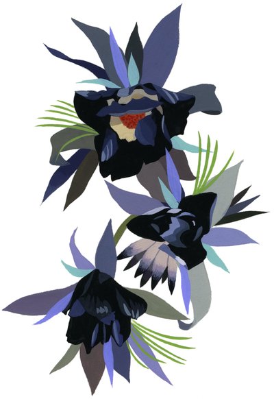 不明な画像 作： Unbekannt Unbekannt